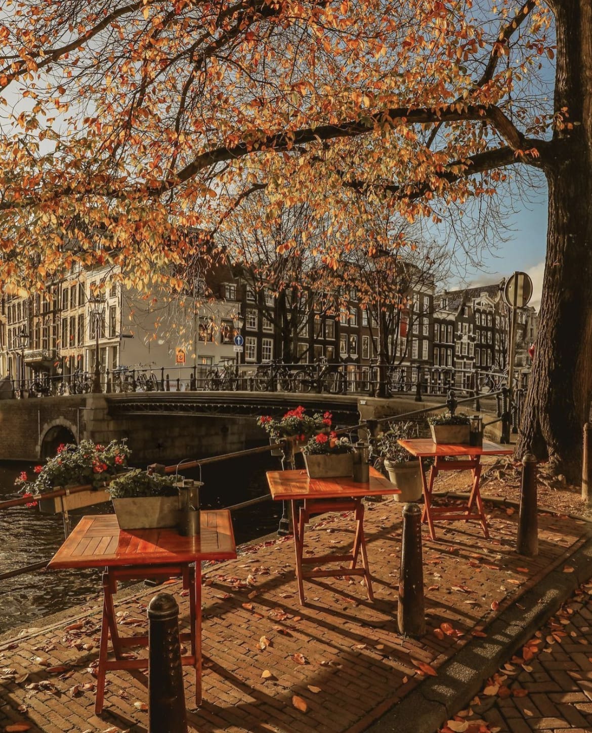 Autumn in Amsterdam